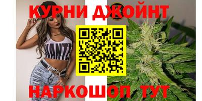 стаф Каменск-Шахтинский