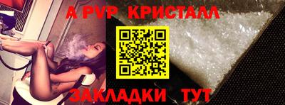 стаф Каменск-Шахтинский