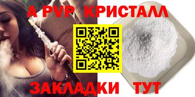 стаф Каменск-Шахтинский