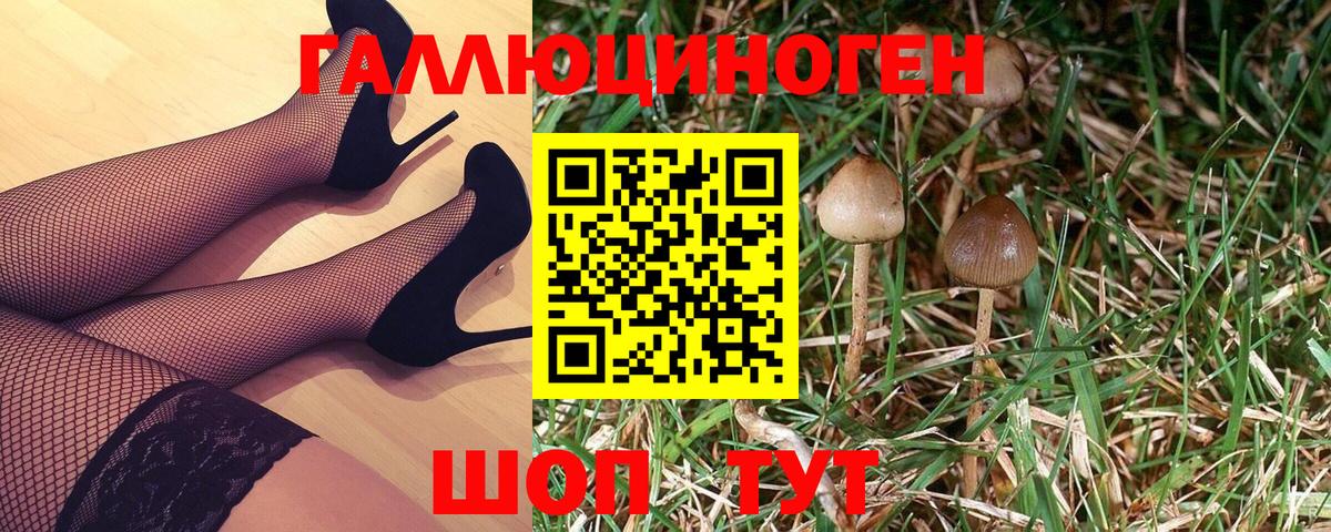 Псилоцибиновые грибы Psilocybine cubensis Большой Камень