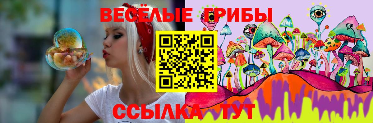 Лсд 25 Большой Камень